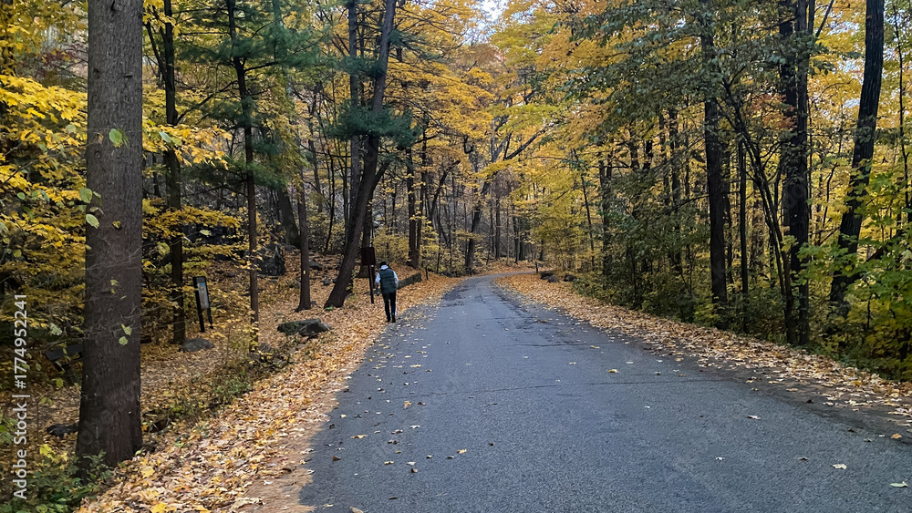 Fototapeta premium Man Walking down Country Road in the Fall
