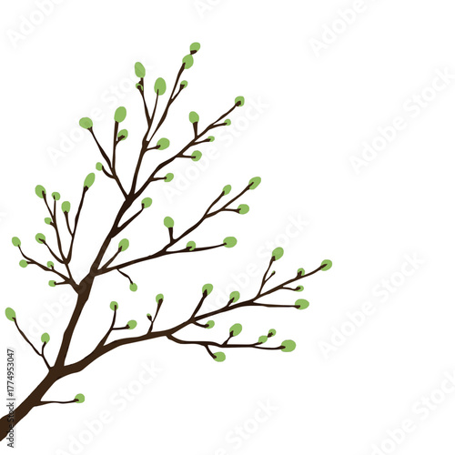 Delicate spring tree branch with fresh leaf buds bringing nature's beauty indoors