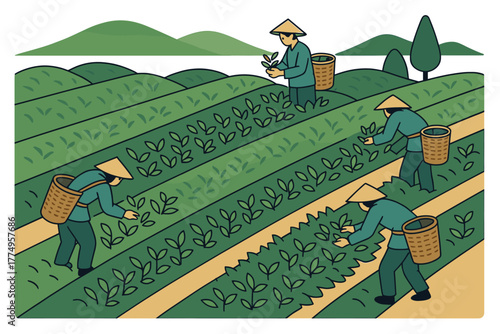 Farmers harvesting tea on lush terraced hills in flat design