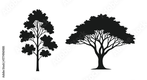 Silhouettes of two different deciduous trees against a white background