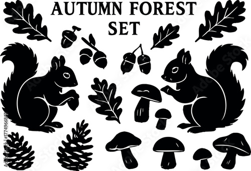 Autumn forest vector set with squirrels acorns leaves mushrooms pine cones natural woodland elements collection