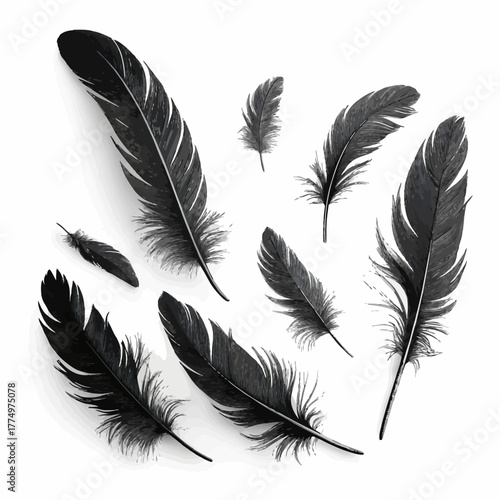 Realistic Black Bird Feathers Set