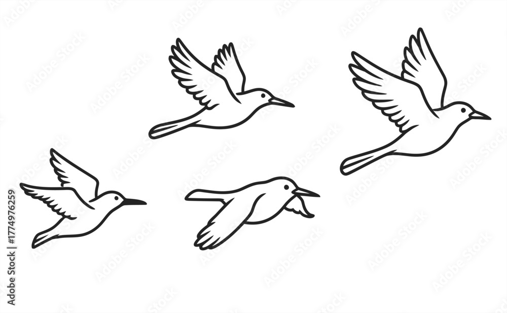 Fototapeta premium This a icon picture bird fly positions