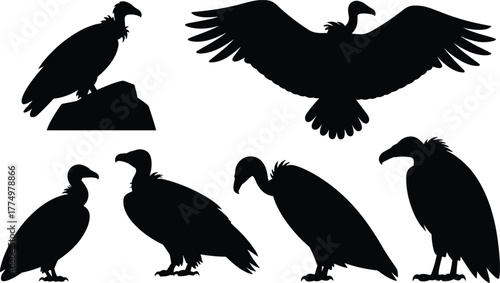 Vulture silhouette vector illustration, bird of prey design with flying and perched poses, wildlife scavenger concept for nature, animal, and environment artwork