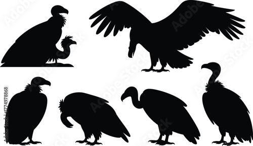 Vulture silhouette vector illustration, bird of prey design, scavenger wildlife art, flying and standing vulture collection, black bird shapes for nature concept