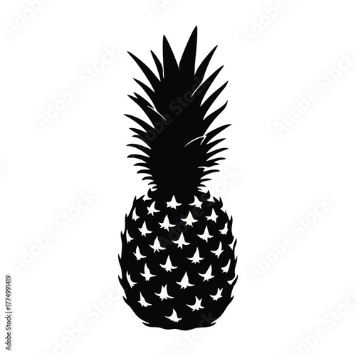 vector pineapple on a white background