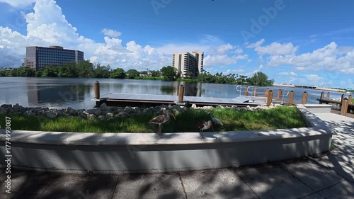 A pair of long-beaked tropical birds stand together at the edge of a river in their natural habitat.

