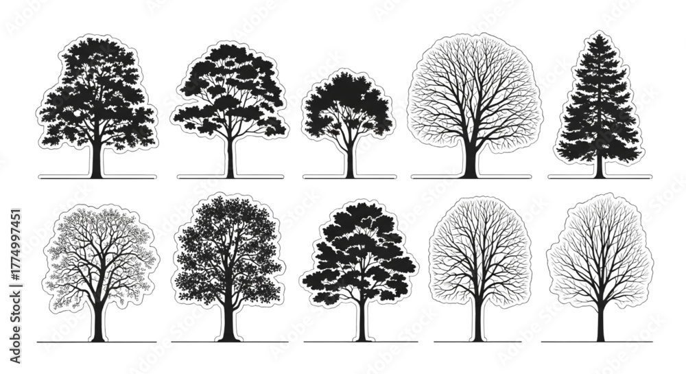 Fototapeta premium Tree Silhouette Collection – Black and White Vector Illustration of Different Tree Shapes for Landscape Design, Nature Art, and Architecture Elements
