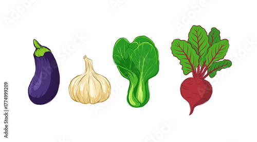 Vegetables Vector Illustration – Eggplant, Garlic, Bok Choy, and Beetroot on White Background