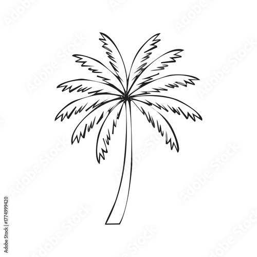 Stylized line drawing of a palm tree with fronds and curved trunk.