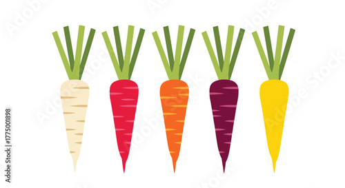 An illustration of five vibrant, distinctively colored carrots, including white, red, orange, purple, and yellow, with fresh green leaves.