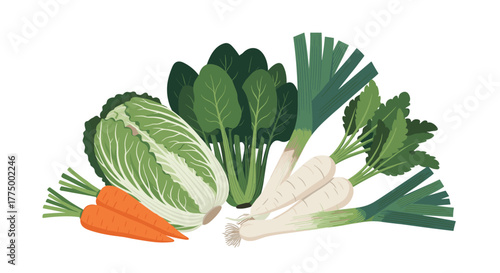A vibrant and nutritious collection of fresh, healthy vegetables including Chinese cabbage, spinach, leeks, white radishes, and carrots.