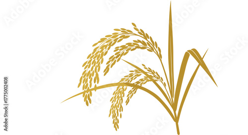 A stylized illustration of golden rice stalks with bountiful grains, representing a successful harvest and the staple food of many cultures.