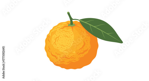 A vibrant and rough-skinned yuzu citrus fruit with a green stem and leaf, depicted in a fresh, isolated illustration.