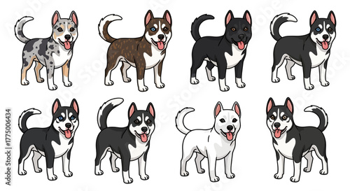 Illustrative portrayal of various colored huskies showcasing diversity and breed characteristics