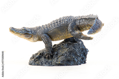 Nile crocodile animal on isolated background