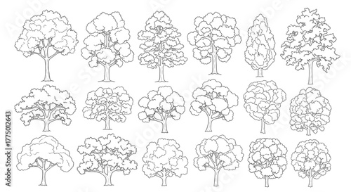 Large Tree Outline Vector Collection – Detailed Black Line Drawings of Diverse Tree Shapes for Landscape Design, Botanical Illustration, and Nature Architecture Art