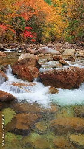 vertical video of waterfall in autumn forest
