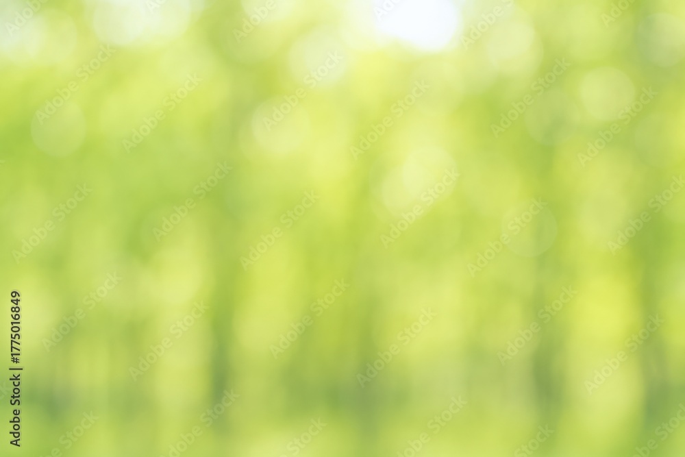 Obraz premium Abstract Blurred Green Background Depicting Nature, Environment, and Growth for Various Creative and Commercial Applications