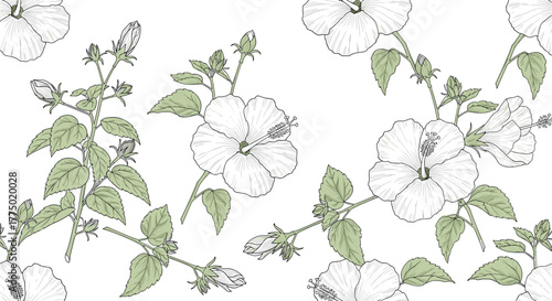 A beautiful seamless pattern featuring delicate white hibiscus flowers with green leaves and buds, creating a natural and elegant floral background.