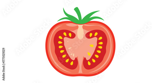 A vibrant red tomato is cut in half, revealing its juicy interior with seeds and a fresh green stem on a clean white background.