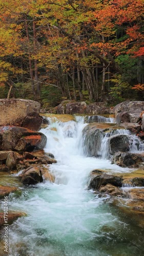 vertical video of waterfall in autumn forest