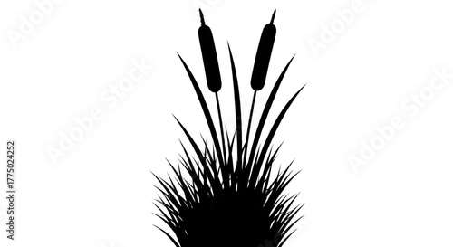 Black Silhouette Cattail Reeds Growing in Marsh Water for Nature Design Projects