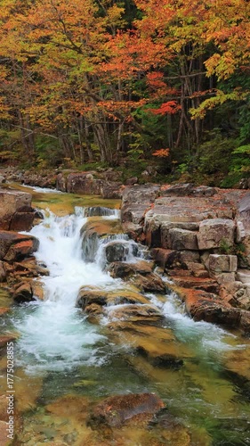 vertical video of waterfall in autumn forest