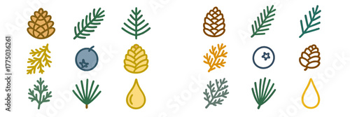 Colorful illustrations of pine cones, leaves, and berries create a nature-inspired pattern for various design projects