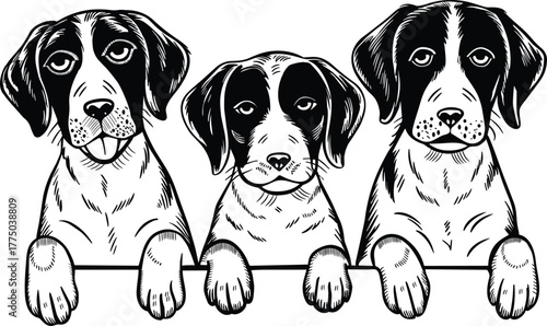 Australian Kelpie dog Svg