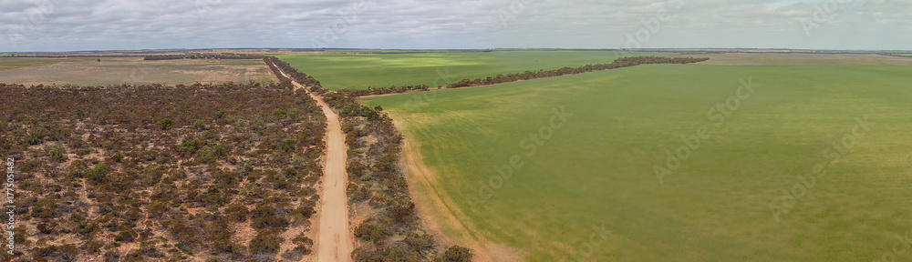 Fototapeta premium Aerial view of a long, straight sandy road cutting through the dry Mallee landscape near Walpeup, Victoria, bordered by native scrub and farmland under a bright sky. 