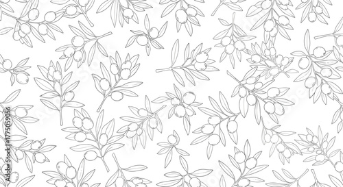 Hand-drawn seamless pattern of olive branches with fruits and leaves, creating a repeating botanical design on a white background.
