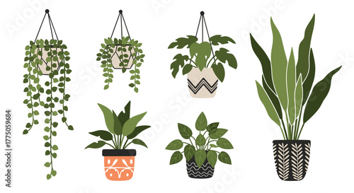 A collection of diverse green houseplants in stylish pots, including hanging and floor plants, on a white background.