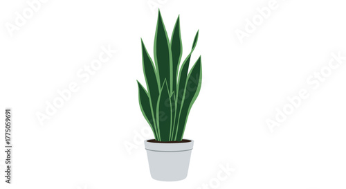 An illustration of a vibrant and healthy snake plant, featuring its distinctive tall, variegated green leaves, potted in a simple grey container.