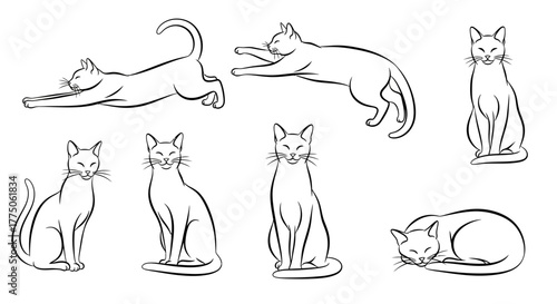 Elegant feline poses for pet lovers crafting adorable designs, showcasing charming cat expressions and graceful silhouettes in a versatile collection