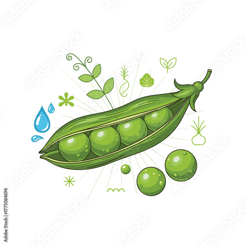 Illustration of an open pea pod with peas and surrounding decorative elements.