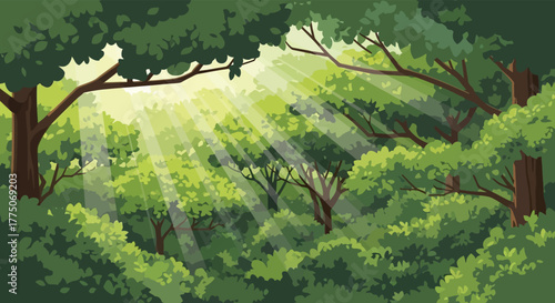 Sunlight streams through lush green forest canopy creating a magical and serene natural woodland scene