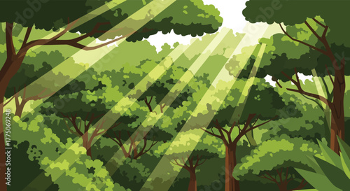 Sunlight streams through the dense green canopy of a lush forest illuminating the vibrant foliage below