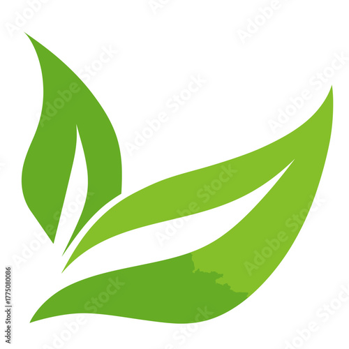 Green leaf illustration nature environment growth and sustainability concept
