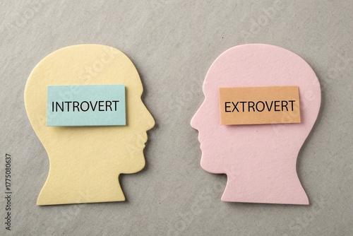 Silhouettes of Extrovert and Introvert Heads Placed Face to Face
