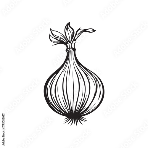 Cartoon vector illustration of an onion in a cute and brightly colored style