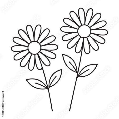 Simple outline drawing of two daisies with stems and leaves on a white background