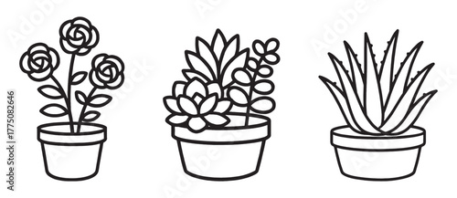 Minimalist line art collection of potted plants including roses, succulents, and aloe vera.