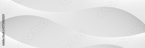 Abstract minimalist white and gray curve modern background. texture white pattern. vector illustration