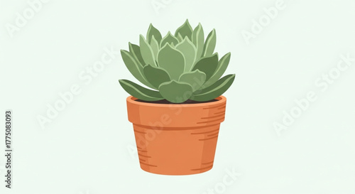 Succulent plant, possibly Echeveria, is shown in a small terracotta pot.