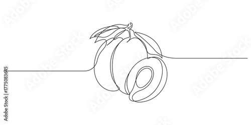 plum fruit continuous single line art vector illustration,Continuous Line Drawing of Peaches with Halved Fruit