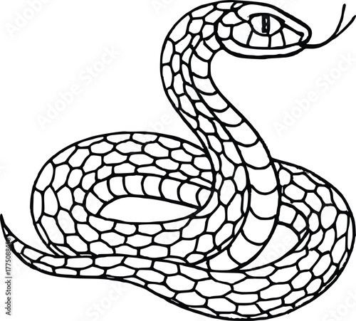 Stylized line art snake coiled in a defensive pose, black and white graphic