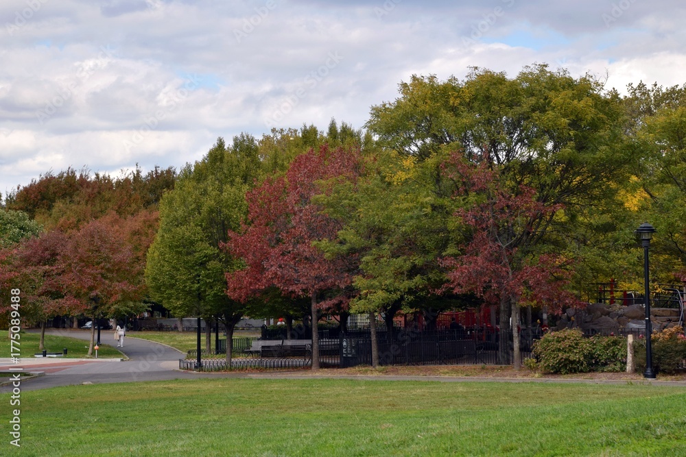 Obraz premium Autumn in the Park . Elmhurst Park in Queens, New York City. Former site of the Elmhurst gas tanks.