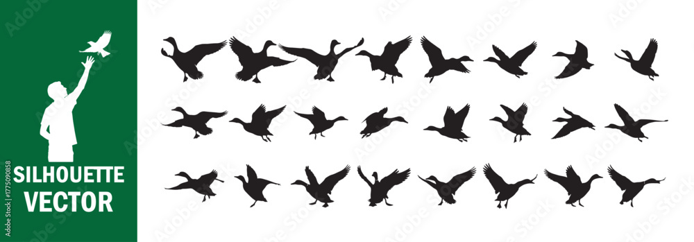 Fototapeta premium Flying Duck and Goose Silhouettes. Waterfowl Set. Vector Illustration