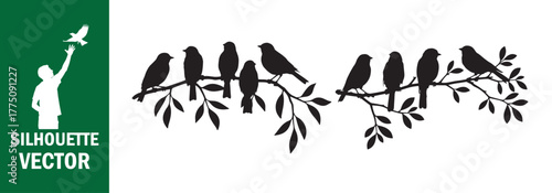 Extended Birds on Branches Silhouette Dividers